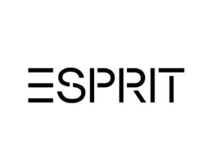 E-SPIRIT logo
